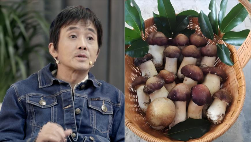 全面开花 中国队迎亚冬会百金里程碑,澳门免费四不像正版图,完美答案解释落实_完整版V2.9