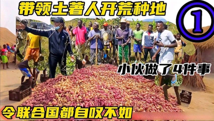 2025年香港开奖结果记录,100多家药企预计共亏超300亿,创新典义解读_潮流版V4.60