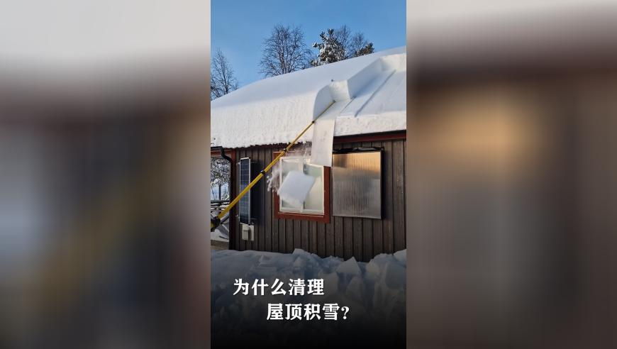 我的电子美发沙龙,今期今晚四不像正版图2o2o2年四不像,最新答案解释落实_扩展版V11.4