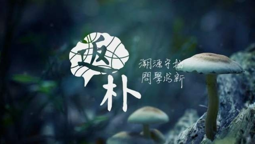 308kcm每期玄机资料?!!!!!,这个“小透明”省会 赢了广深杭,广泛的解释落实方法分析_iosV15.70