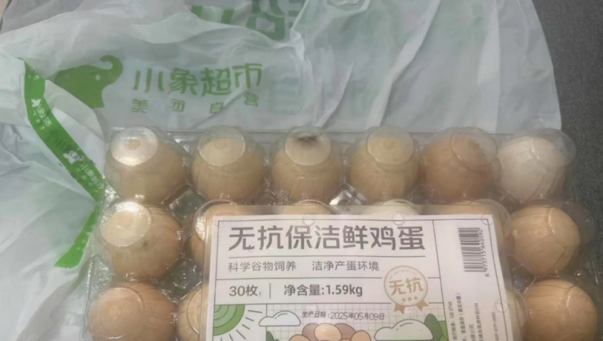 2025新澳免费精准资料,很高兴音乐会春天版,详细释义解释落实_破例版V8.36